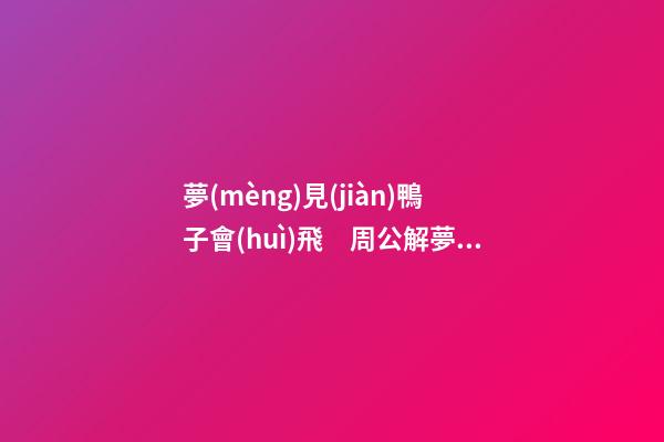 夢(mèng)見(jiàn)鴨子會(huì)飛　周公解夢(mèng)之夢(mèng)到鴨子會(huì)飛